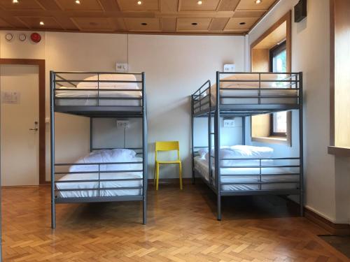 Single Bed in 10-Bed Male Dormitory Room 