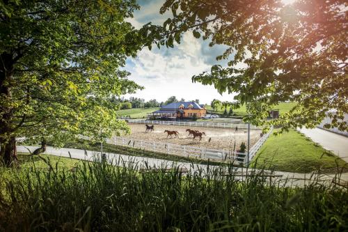 Hotel Horse Riding - Jezdecký Areál Tršice