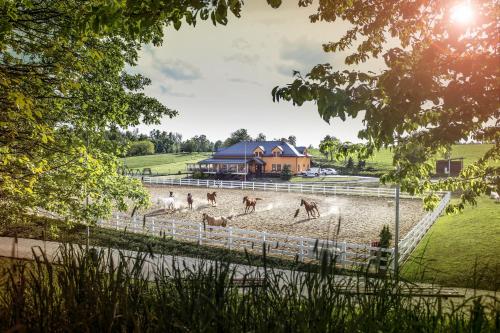 . Hotel Horse Riding - Jezdecký Areál Tršice