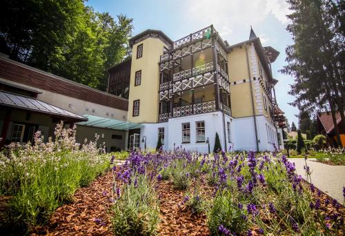 Hotel Pacsirta – Sovata, WI