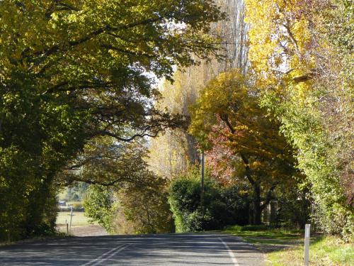 The Chapel Deloraine