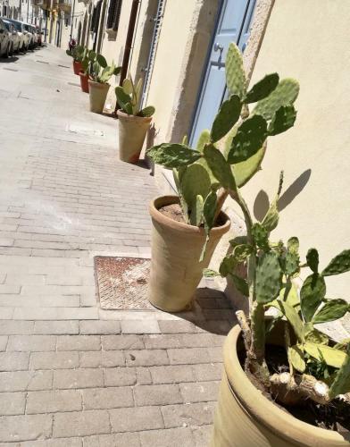 La Casa del mare 5
