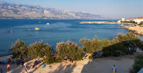 Apartman Jovici
