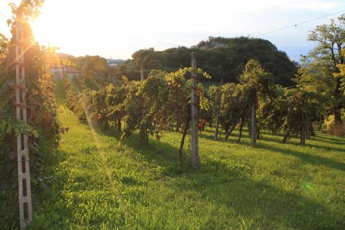 A környék, Bed and Breakfast La Quiete in Arcugnano