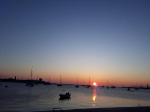 App Paris 2, Umag (fotografie 7)