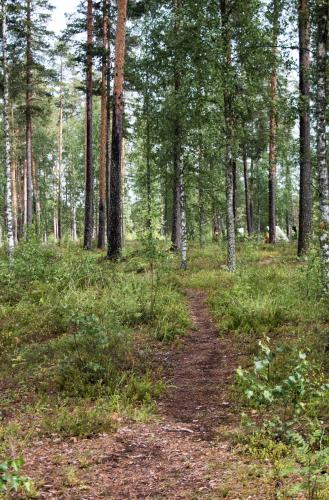 Vierumäki Chalets 4414