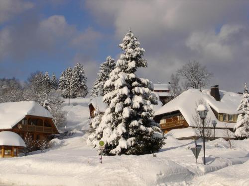 Hotel Schwarzwald-Gasthof Rößle