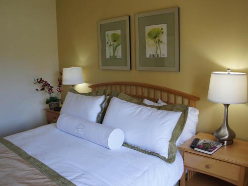 棕榈泉雷恩特里西马伦高尔夫度假酒店 棕榈泉雷恩特里西马伦高尔夫度假酒店