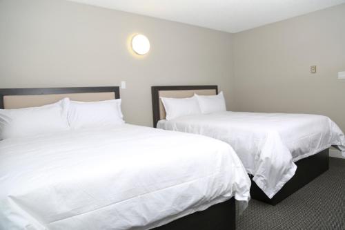 2 queen beds