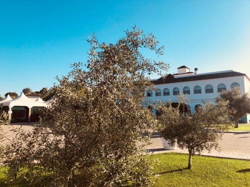 Hotel Nómadas - image 7