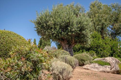 Hotel Cala di l'Oru - image 11