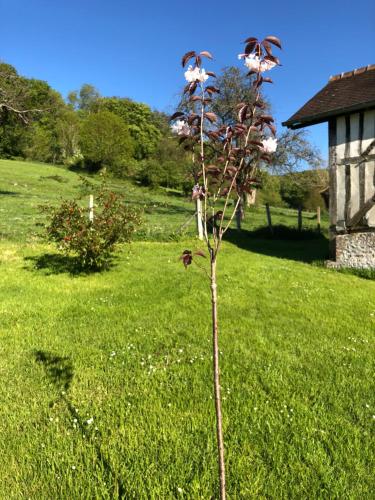 Le Clos Verdoyant