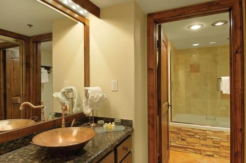 Silver King - image 6