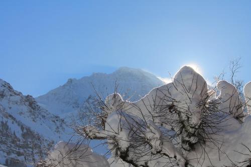 Swiss Lodge Hotel Bernerhof - image 10