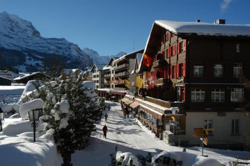 Swiss Lodge Hotel Bernerhof - image 3