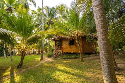  Palm Paradise Cabanas & Villas Beach Resort, Hotel, Tangalle,  Sri Lanka - price, booking, contact