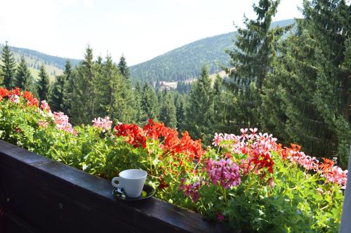 Double or Twin Room with Balcony