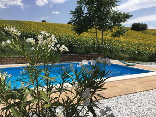 B&B Profumo delle Marche