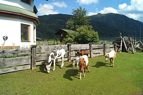 Sieglhub Chalets - Appartements - Hotel - image 10