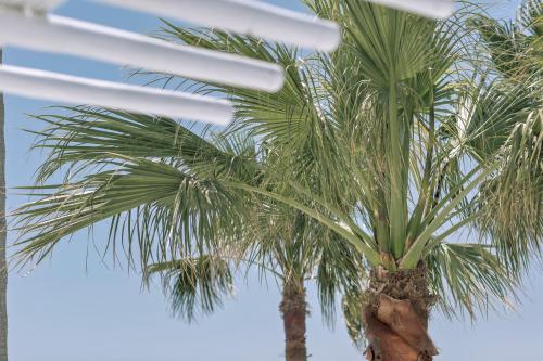 Mykonos Blanc - Preferred Hotels & Resorts