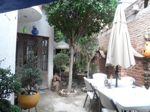 Garden, Hotel Internacional Malitsin in Guanajuato