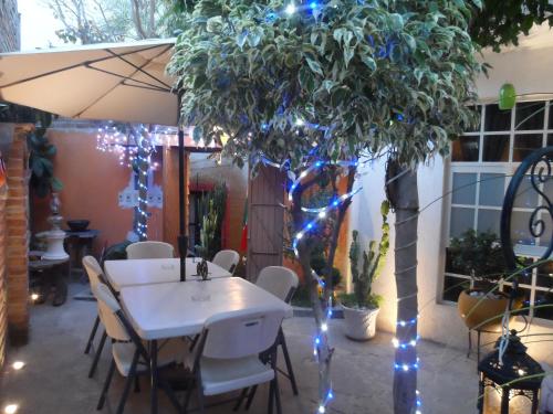 Garden, Hotel Internacional Malitsin in Guanajuato