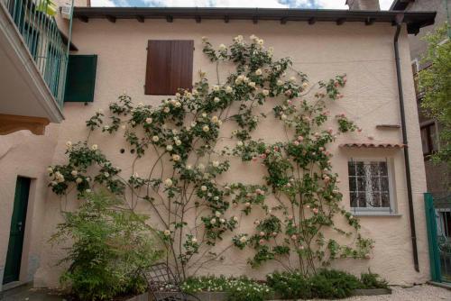 Casa Mia