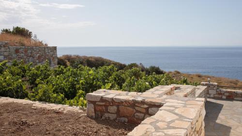Villa Athina - image 3