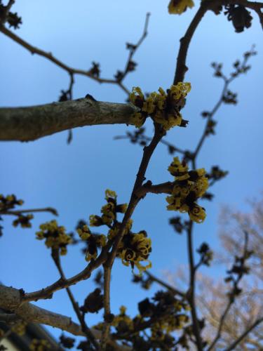 斯塔特吉特酒店 - 戴斯克尔内酒店 斯塔特吉特酒店 - 戴斯克尔内酒店