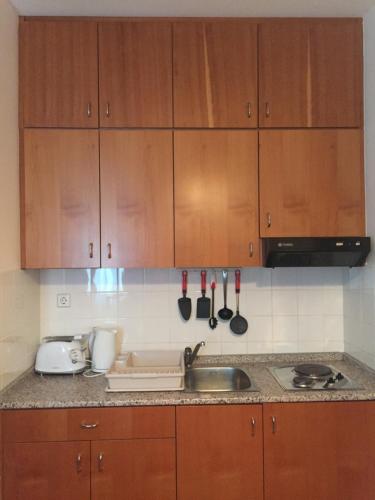virtuve, Apartment on Zdraviliski trg 7 in Rogaska Slatinaa