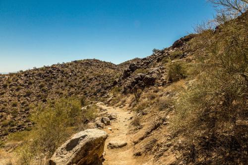 Esplendora, Tucson (zdjęcie 5)