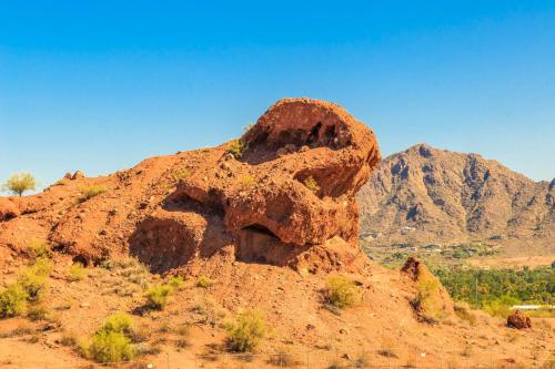 Esplendora, Tucson (zdjęcie 10)
