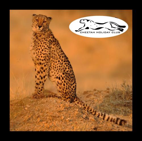Cheetah Holiday Club Vizovice