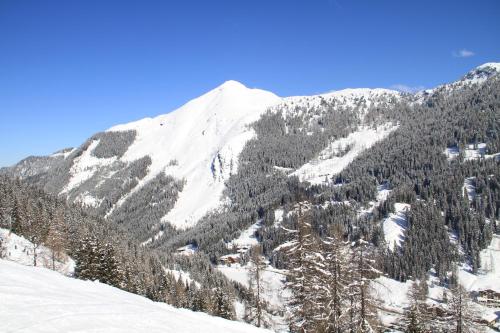 Alpen Appartements