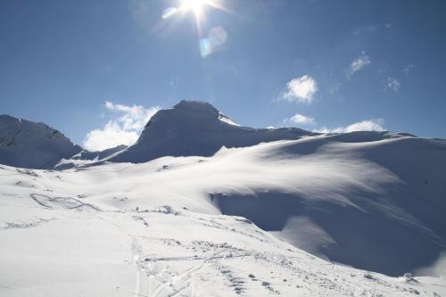 Alpen Appartements