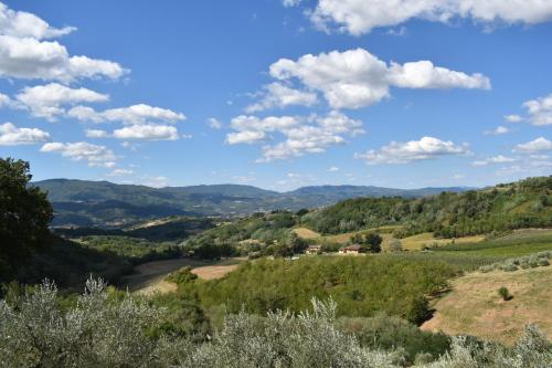  Panorama sul Mugello, Pension in Vicchio