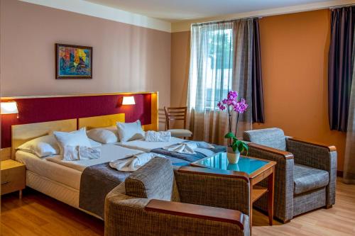 Drava Hotel Thermal Resort in Harkany