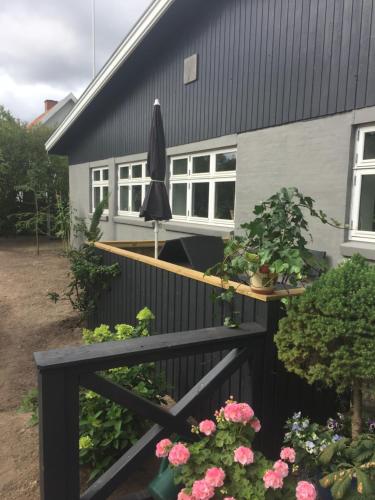 Molino - Båstad