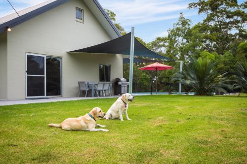 Bush Retreat With Private Pool