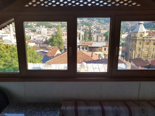 Curovac View - image 13
