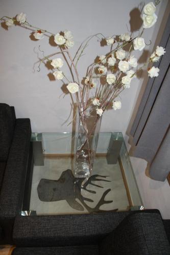 Appartements Ski Rent Michael - image 7