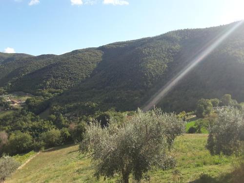 La Fattoria Di Mamma Ro'