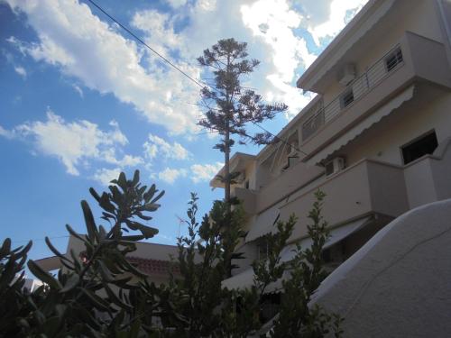 Soula Apartments & Studios - image 4