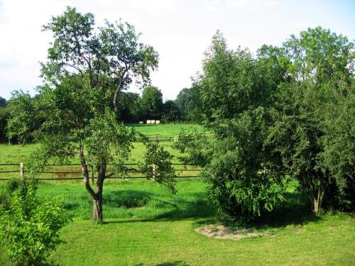 ทัศนียภาพ, Fewos in Klein-Grindau in ชวาร์มสเตดท์