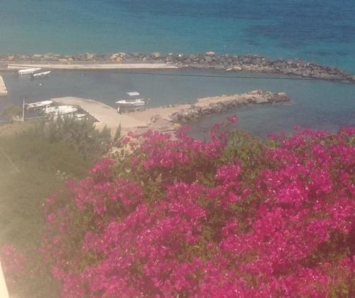  Vagia Beach House in Vagia