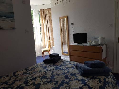 Alexandra Lodge Guest House - image 11
