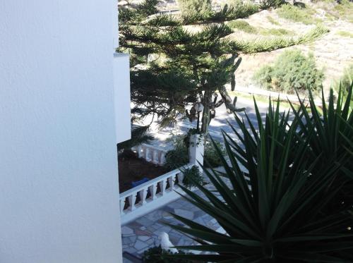 Vera's Sunny Apartment - 2BD - Steps to beach - Kitchen - Free parking