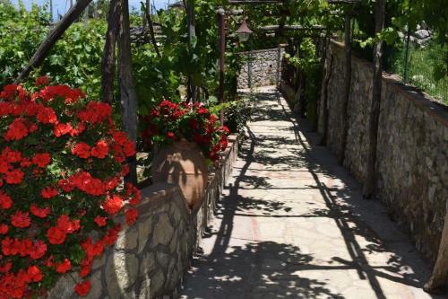 B&B Il Grappolo - image 4