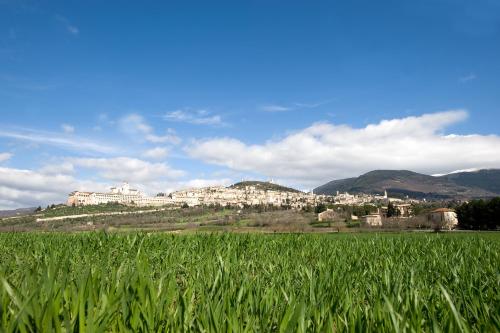 Hotel Properzio - image 12
