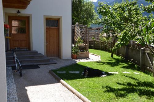 Mutznhof, Dobbiaco (foto 2)